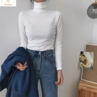 Autumn Long Sleeve Turtleneck Knitted Sweater