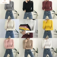 Womens High Elastic Turtleneck Sweater