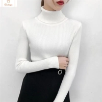 Winter Knitted Turtleneck Sweater for Women