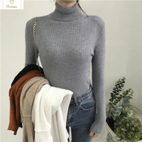 Womens Autumn Winter Knitted Turtleneck Sweater