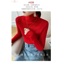 Brown Cashmere Turtleneck Knit Sweater