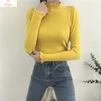 Womens High Elastic Turtleneck Sweater