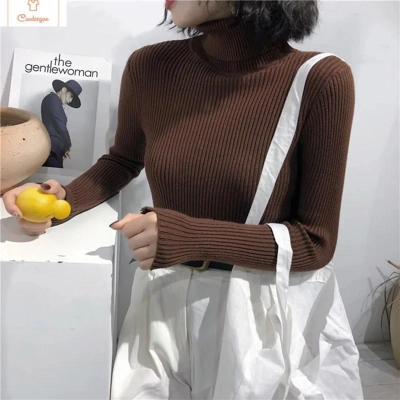 Womens Autumn Winter Knitted Turtleneck Sweater