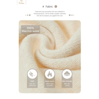 Merino Wool V-Neck Pullover Sweater