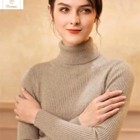 Fashionable Womens Turtleneck Jumper with Thermal Striped Knit