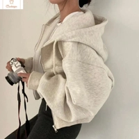 Y2K Zip Up Hoodie Womens Oversized