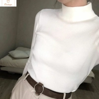 Korean Turtleneck Oversized Pullover Sweater