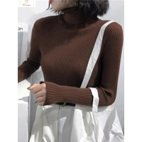 Womens Autumn Winter Knitted Turtleneck Sweater