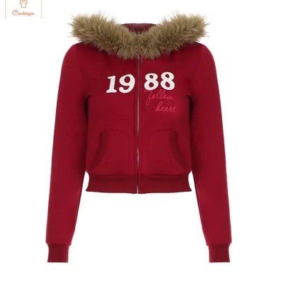 Retro Color Block Fur Collar Hoodie