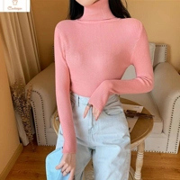 Cardeegan Womens Knitted Turtleneck Sweater