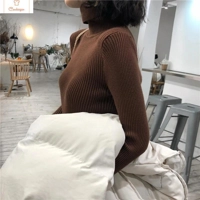 Womens Autumn Winter Knitted Turtleneck Sweater