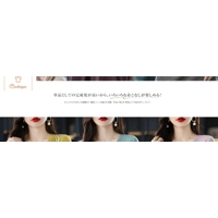 Cardeegan Womens V-Neck Solid OL Sweater