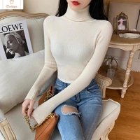 Cardeegan Womens Knitted Turtleneck Sweater