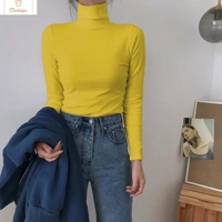 Autumn Long Sleeve Turtleneck Knitted Sweater