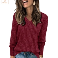 Casual V-Neck Long Sleeve Sweatshirt
