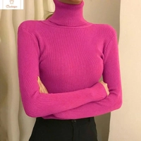 Winter Knitted Turtleneck Sweater for Women
