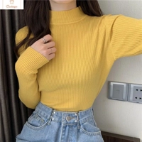 Autumn Ribbed Mock Neck Pullover