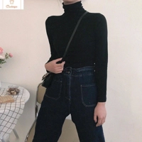 Autumn Long Sleeve Turtleneck Knitted Sweater