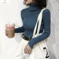 Womens Autumn Winter Knitted Turtleneck Sweater