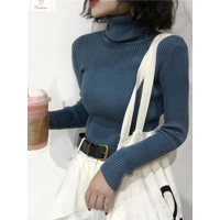 Womens Autumn Winter Knitted Turtleneck Sweater