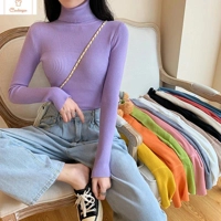 Cardeegan Womens Knitted Turtleneck Sweater