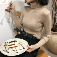 Womens Autumn Winter Knitted Turtleneck Sweater