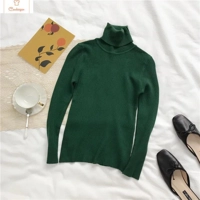 Womens Autumn Winter Knitted Turtleneck Sweater