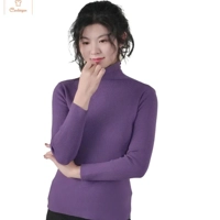 Choker High Collar Thermal Turtleneck Sweater