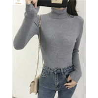 Womens Autumn Winter Knitted Turtleneck Sweater