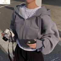 Stylish Velvet Zipper Hoodie for Women