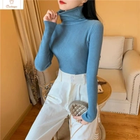 Cardeegan Womens Knitted Turtleneck Sweater