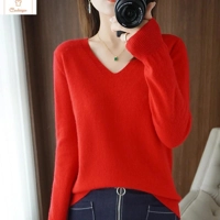 Cashmere V-neck Lace Pullover Sweater