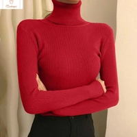 Womens Long Sleeve Turtleneck Knit Sweater