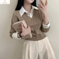 Womens Winter V-Neck Knit Sweater