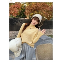 Cardeegan Womens Ruched Turtleneck Knitted Sweater