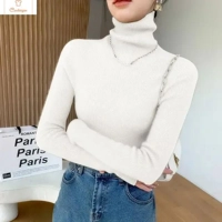 Soft Warm Turtleneck Sweater for Women