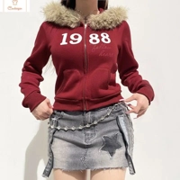 Retro Color Block Fur Collar Hoodie