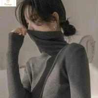 Soft Warm Turtleneck Sweater for Women