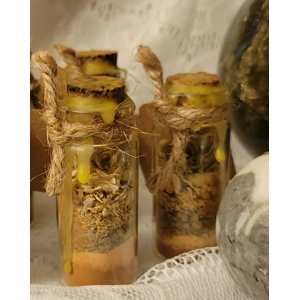 Wealth & Success Spell Jar/Witch Bottle