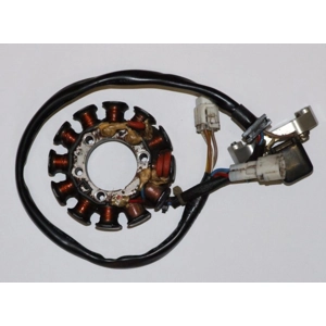 Gas Gas 300 Sherco Beta (Hidra) Stator Rewind