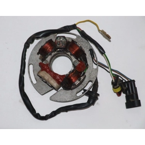 Sherco 250/290 2001- 2013 Stator Repair (Leonelli)