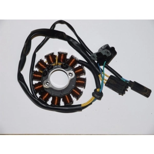BMW G450X Stator Rewind