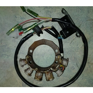 Yamaha TT600 Stator Rewind