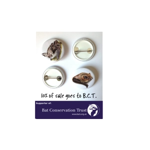 Bat Badges, Bat Button Badges, Common Pipistrelle, Brown Long Eared Bat, 32mm Badges, Bat Lover Gift