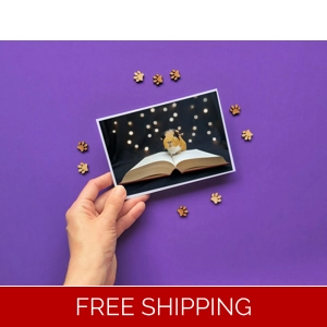 Guinea Pig Card - Flóki reading book