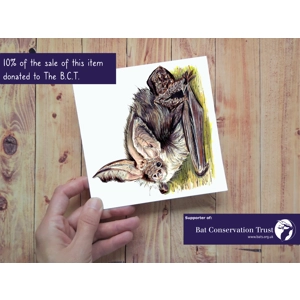 Bat Card, Brown Long-Eared Bat Card, Bat Lover Greeting Card