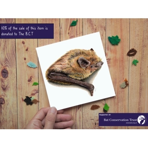 Bat Card, Common Pipistrelle Card, Bat Lover Greeting Card