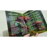 Flippets [ATARI 2600]