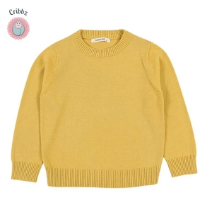 Cozy Knit Sweater for Toddlers