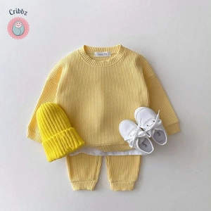 Autumn Baby Hoodie and Pants Set